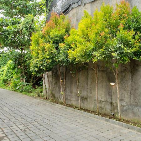 A7 Guesthouse Чангу Экстерьер фото
