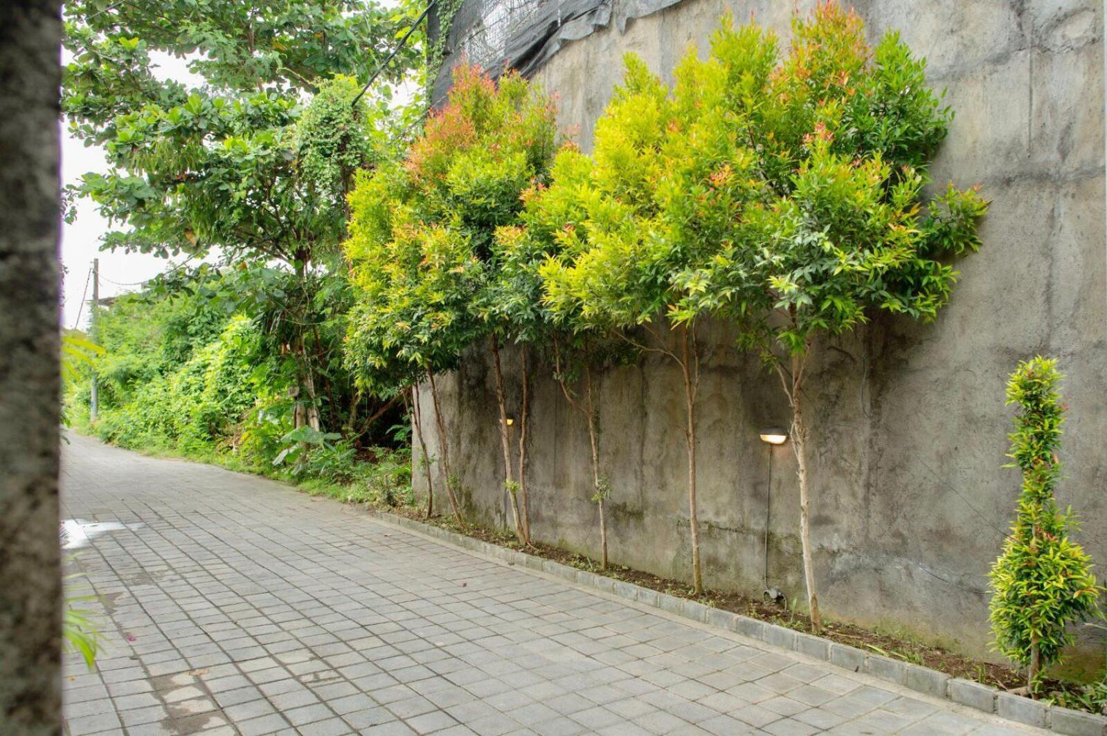 A7 Guesthouse Чангу Экстерьер фото